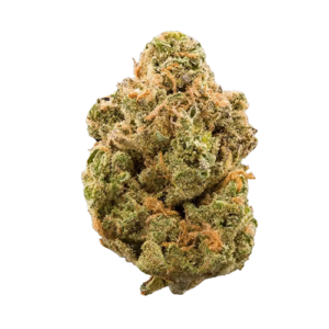 Bubble Cheese