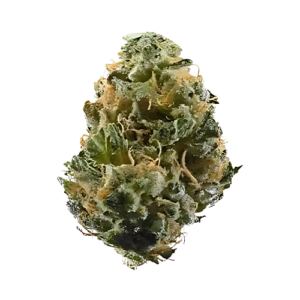 Cookies and Cream Cheese